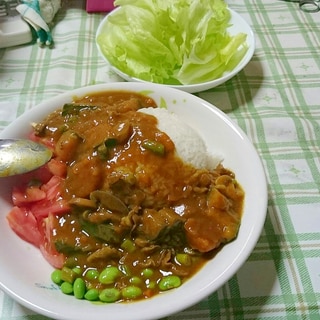 いい感じの夏野菜カレー